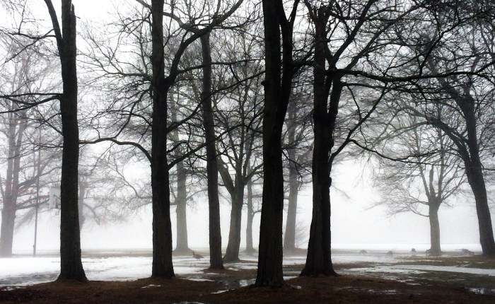 Lessons Learned from the $1,011.05 Cup of&nbsp;Coffee