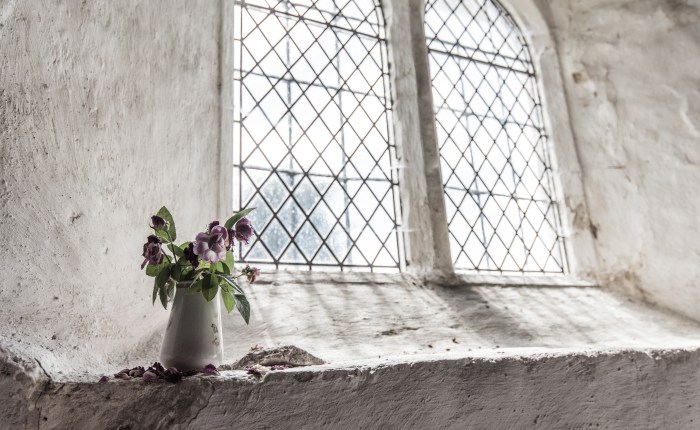 The Benefits of Kissing Your Own&nbsp;Ass