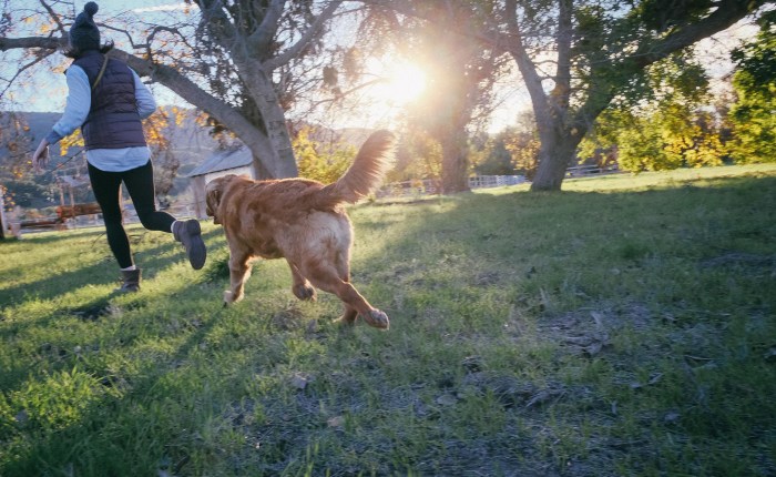 Are You Feeding The Stray Dogs of&nbsp;Doubt?