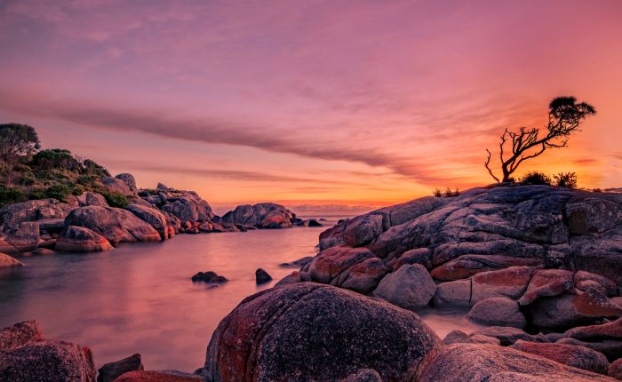 Allowing What Is To Be Exactly What It&nbsp;Is