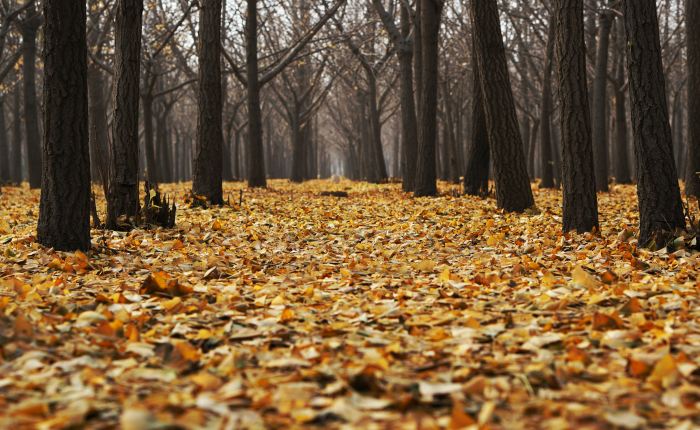 Love & Kindness Are Always In&nbsp;Season