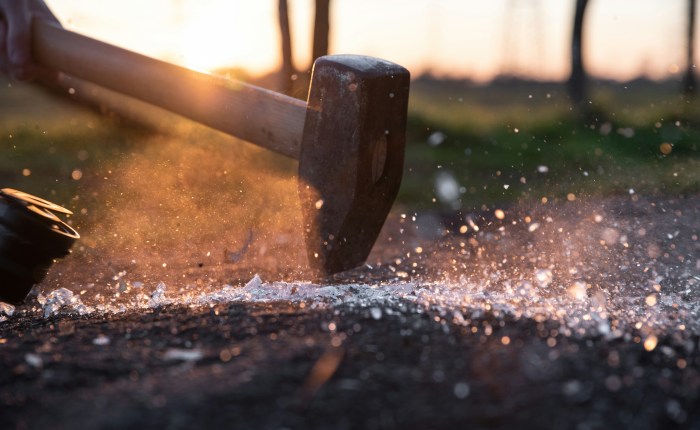 What Is Forced In Life Will Ultimately&nbsp;Fail