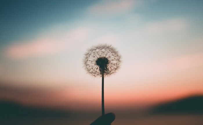 When There’s Nothing To Look Forward&nbsp;To