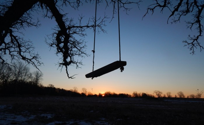 Watering The Trees That Were Never&nbsp;Planted