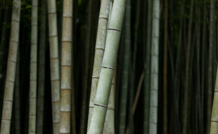 When All Of Me&nbsp;Matters