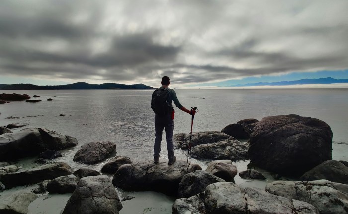 When Nothing Has To Be Anything Other Than It&nbsp;Is